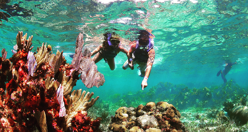 Snorkeling