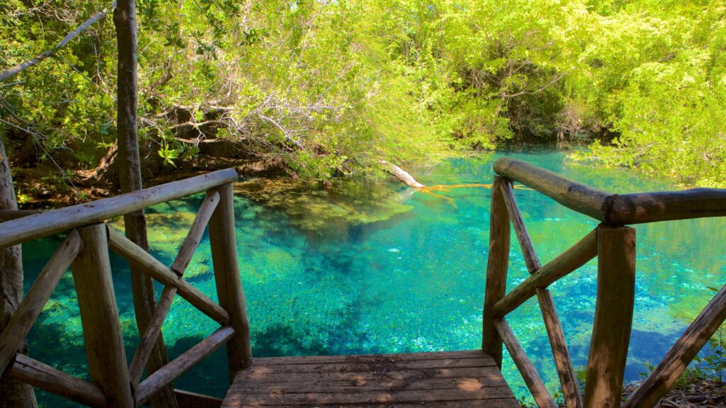 Nature Preserve